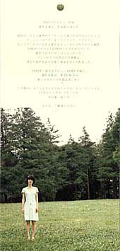 Tapestry Flier